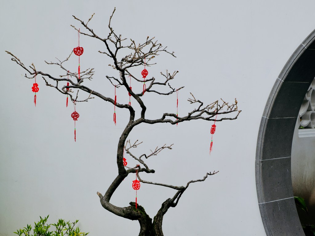 bare tree with new year decorations
