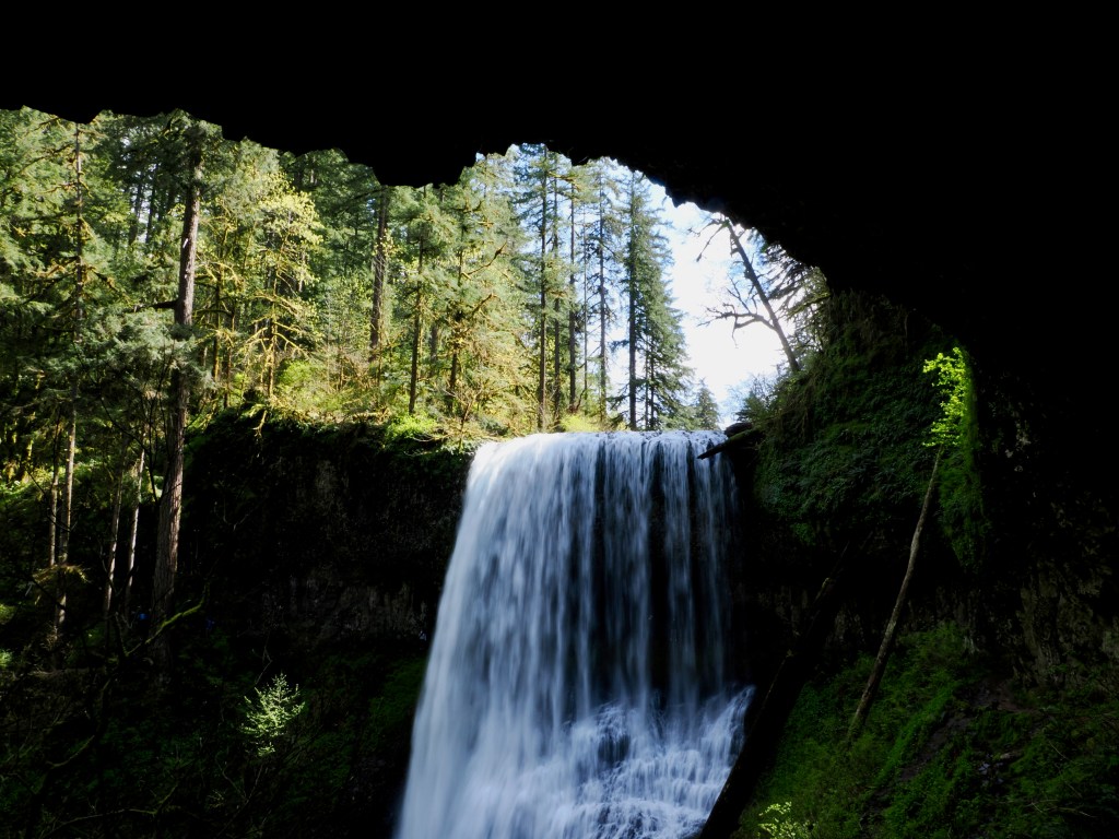 waterfall in forest and surrounding rocks
