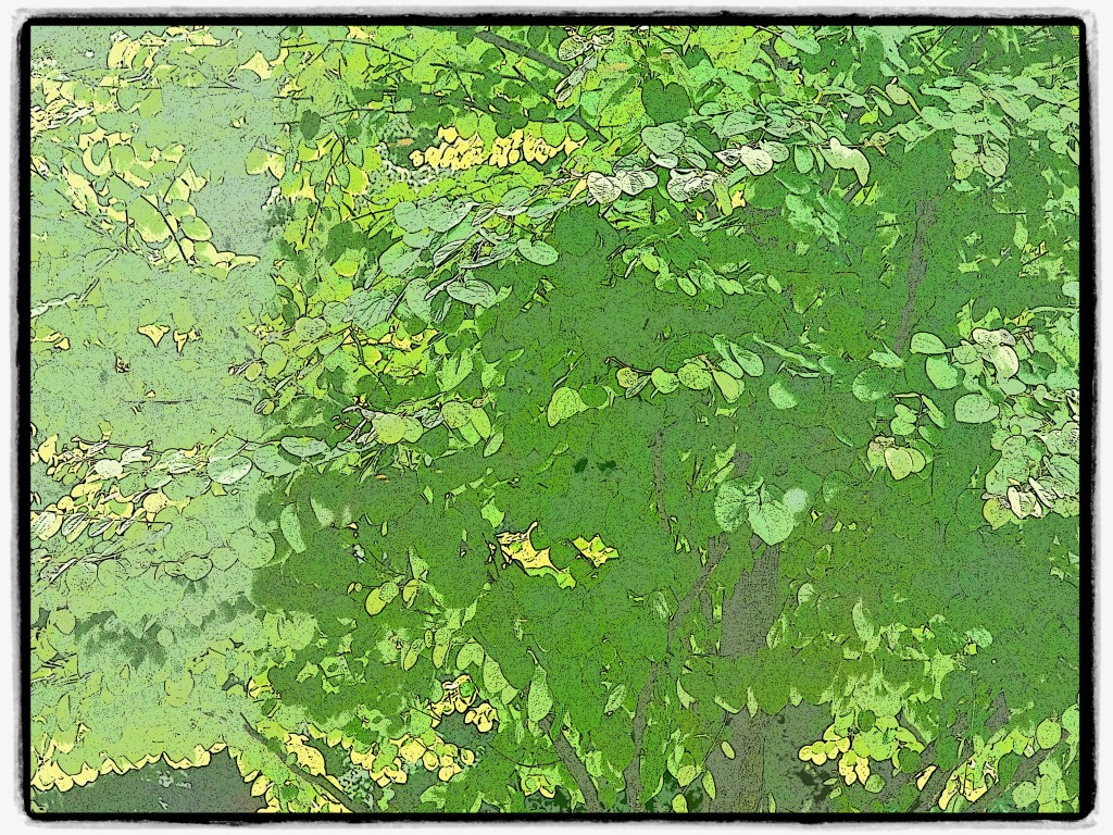 many abstract textured green leaves