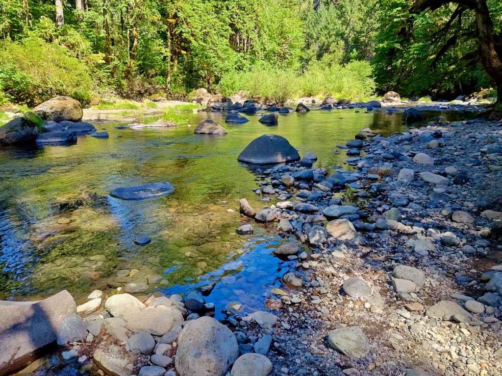 rocky riverbank and green trees