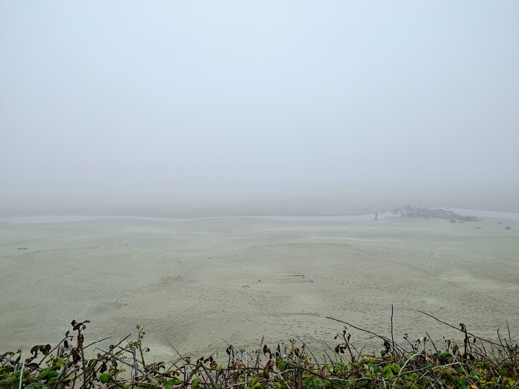 wide beach fading into fog