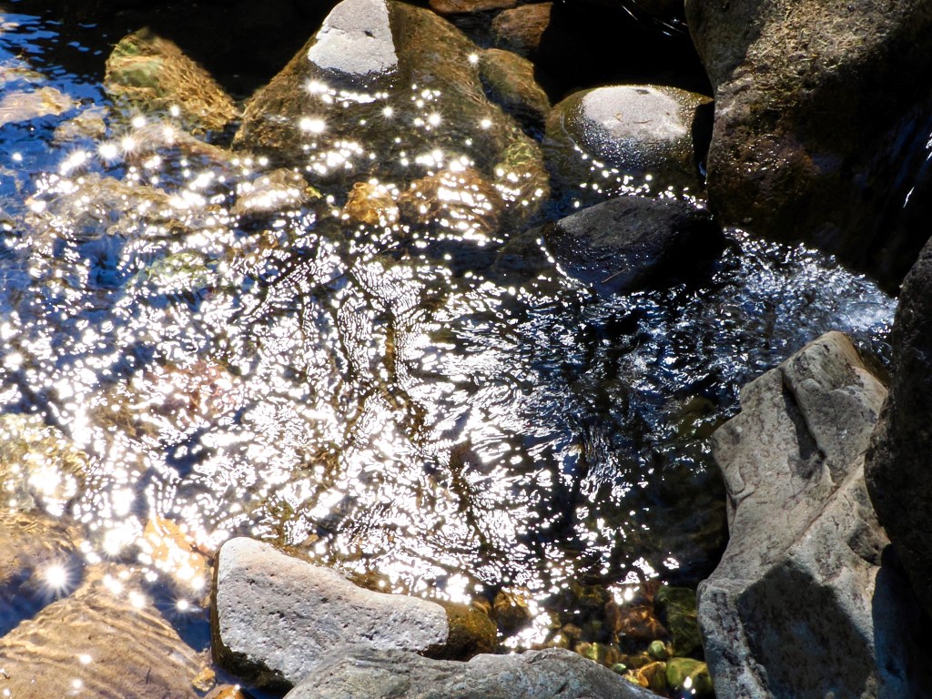 sunlight sparkling on water in small rocky stream
