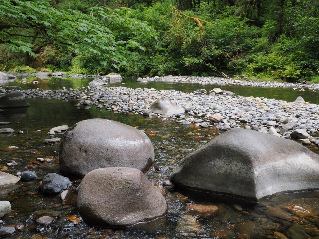 rocks and gravel bar in shallow river with forest background