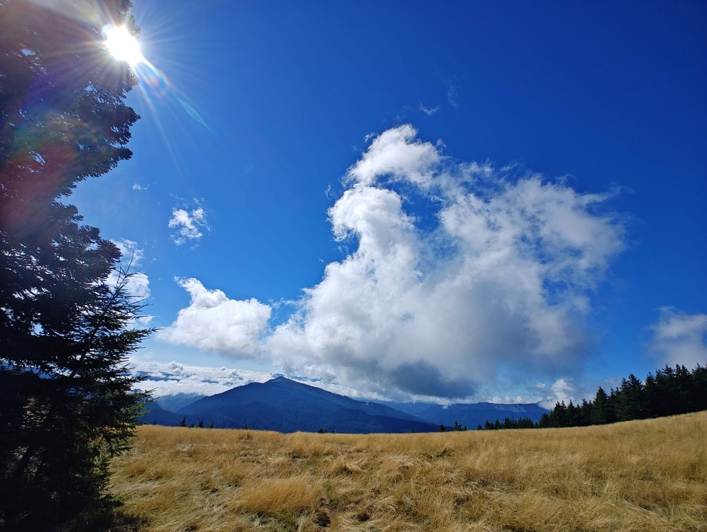 blue sky, sun and white clouds over goleden mountain meadow