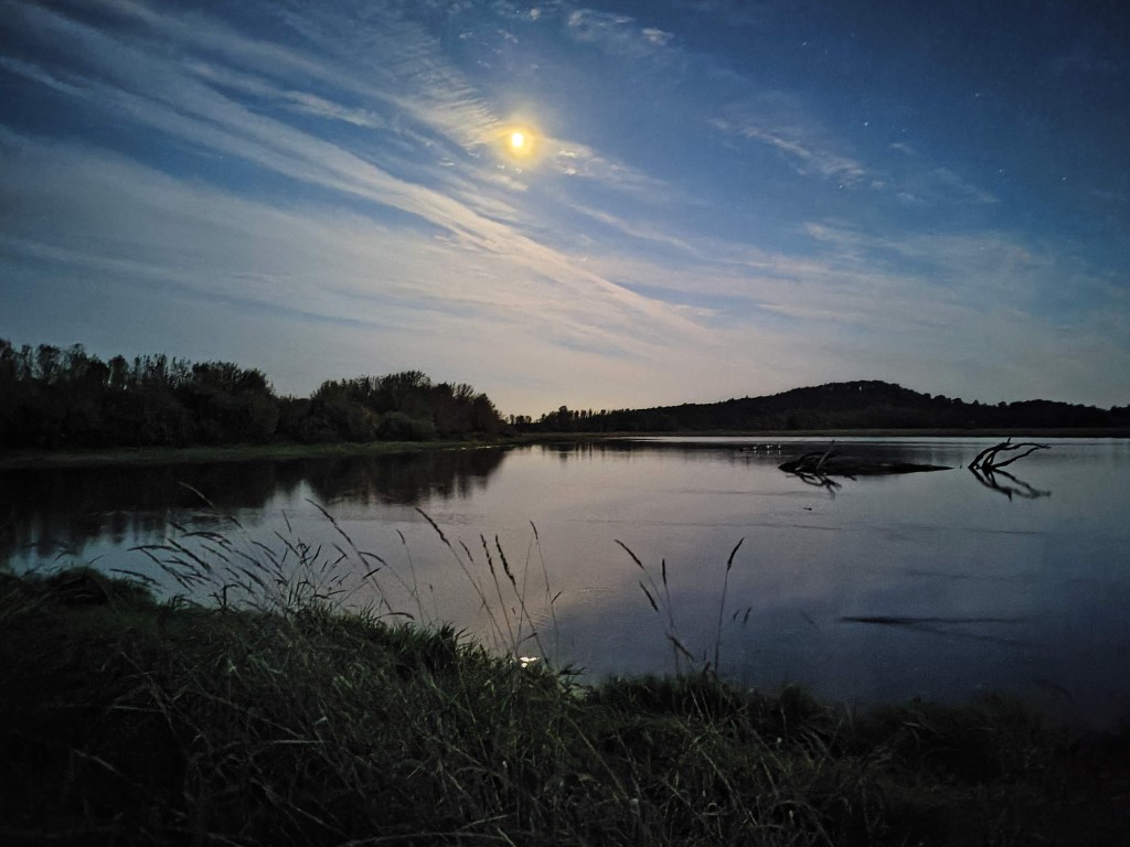 bright moonlight on marsh at night