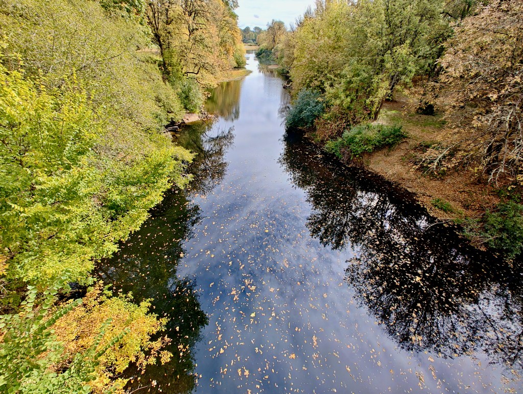 sky reflections and leaves in river flowing through landscape of broad-leaved trees in earthy autumn colors
